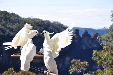 Private Blue Mountains Tour - Perth Resorts 1