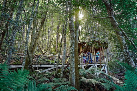 Private Blue Mountains Tour - Perth Resorts 4