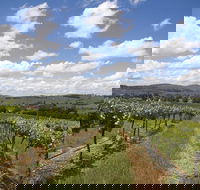 Hunter Valley Wine Tour from Sydney incl Lunch Cheese Chocolate and Distillery - Accommodation Perth