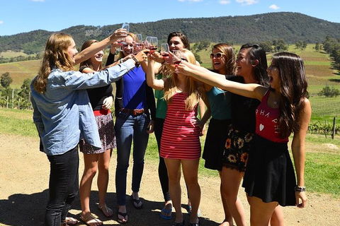 Hunter Valley Wine Tour From Sydney Incl Lunch, Cheese, Chocolate And Distillery - Accommodation Perth 3
