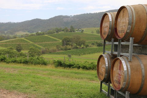 Hunter Valley Wine Tour From Sydney Incl Lunch, Cheese, Chocolate And Distillery - Accommodation Perth 5