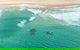 Coastal Helicopter Shared Flight - 20 Minutes - thumb 4