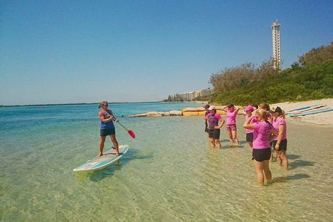 Golden Beach 1-Hour Stand-Up Paddleboard Hire On The Sunshine Coast - Accommodation Perth 1