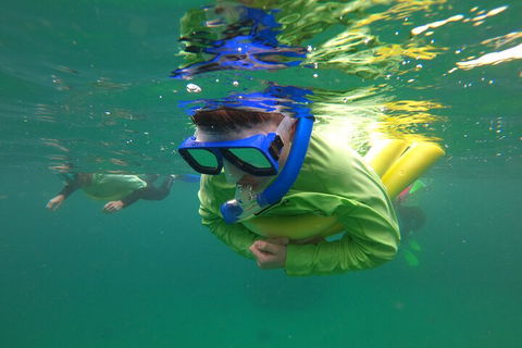 Manly Snorkel Trip And Nature Walk With Local Guide - Accommodation Perth 5