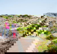 Margaret River Coastal and Wildlife Eco Trip from Busselton or Dunsborough - Accommodation Perth