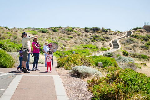 Margaret River Coastal And Wildlife Eco Trip From Busselton Or Dunsborough - Accommodation Perth 0