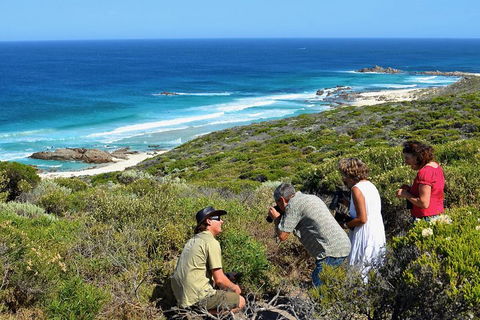 Margaret River Coastal And Wildlife Eco Trip From Busselton Or Dunsborough - Accommodation Perth 2