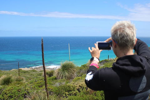 Margaret River Coastal And Wildlife Eco Trip From Busselton Or Dunsborough - Accommodation Perth 3