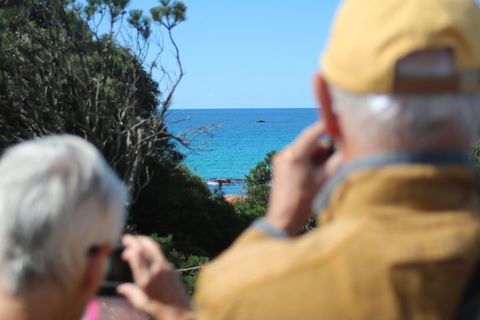 Margaret River Coastal And Wildlife Eco Trip From Busselton Or Dunsborough - Accommodation Perth 5